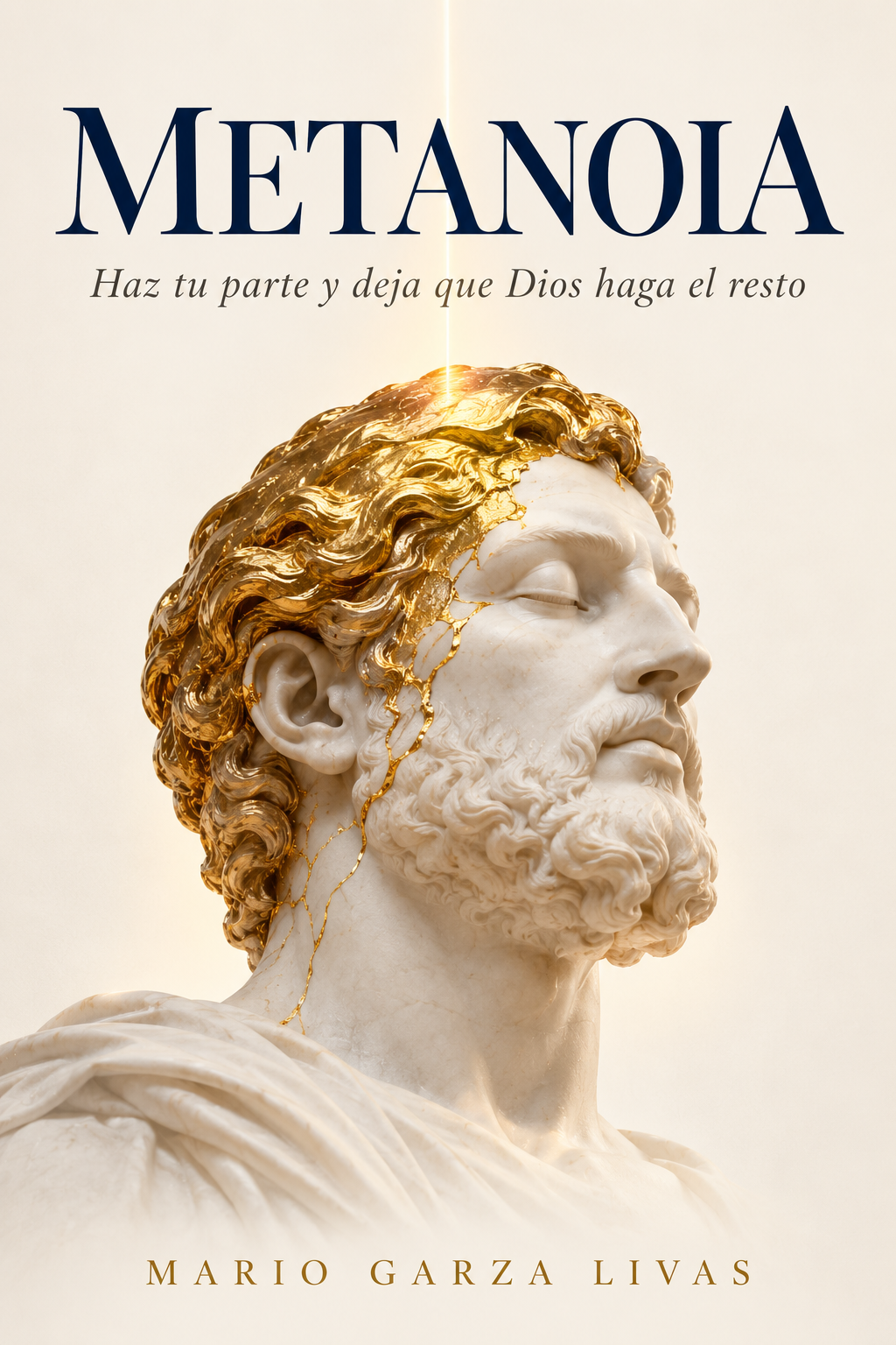 Cover of Metanoia: Do Your Part and Let God Do the Rest, by Mario Garza Livas